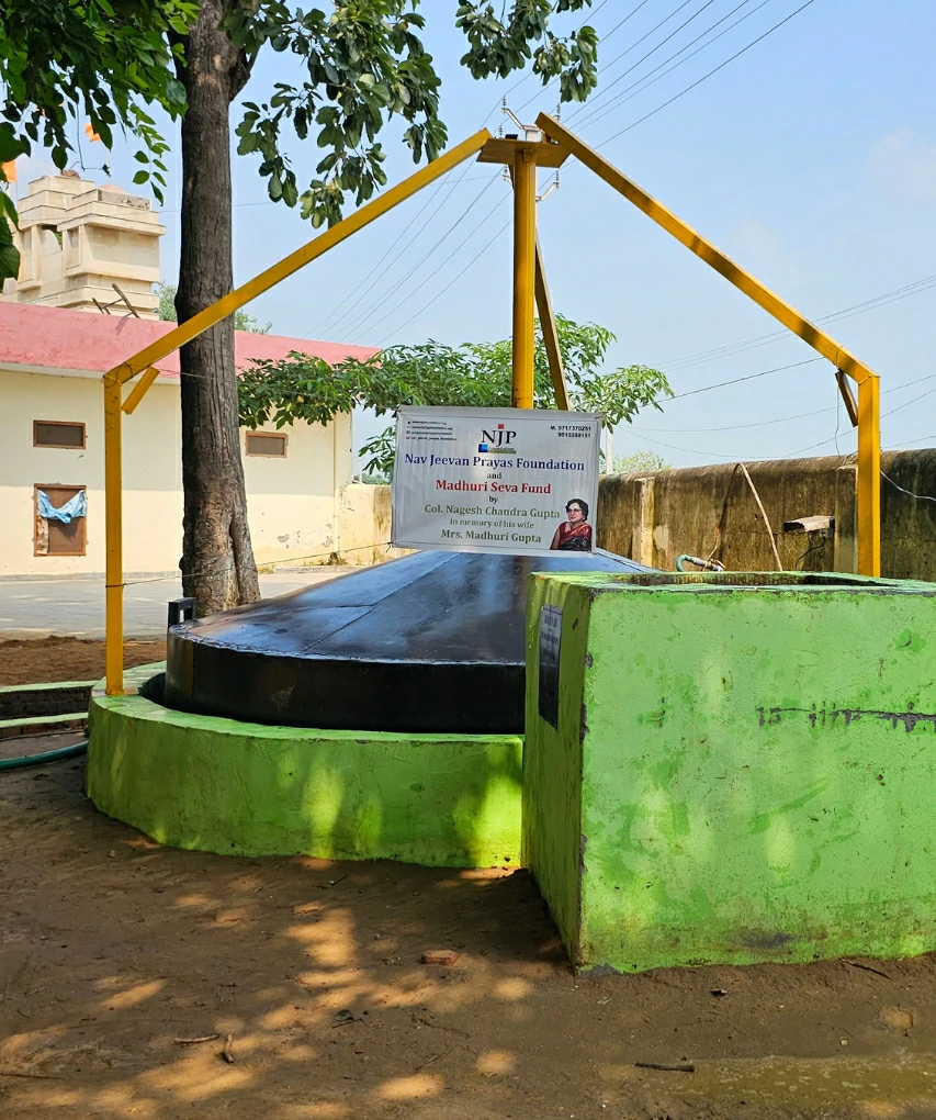 NJP Foundation's Work in the Environment sector